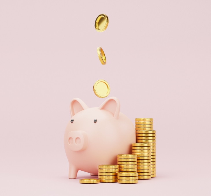 RISE Money Market Active